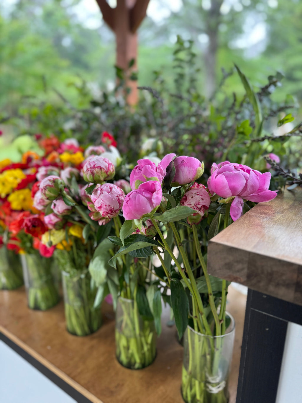 Spring Watercolor in the Gardens - Mother's Day Special