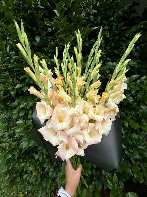 Kalyx Flower Club - 12 Month Subscription