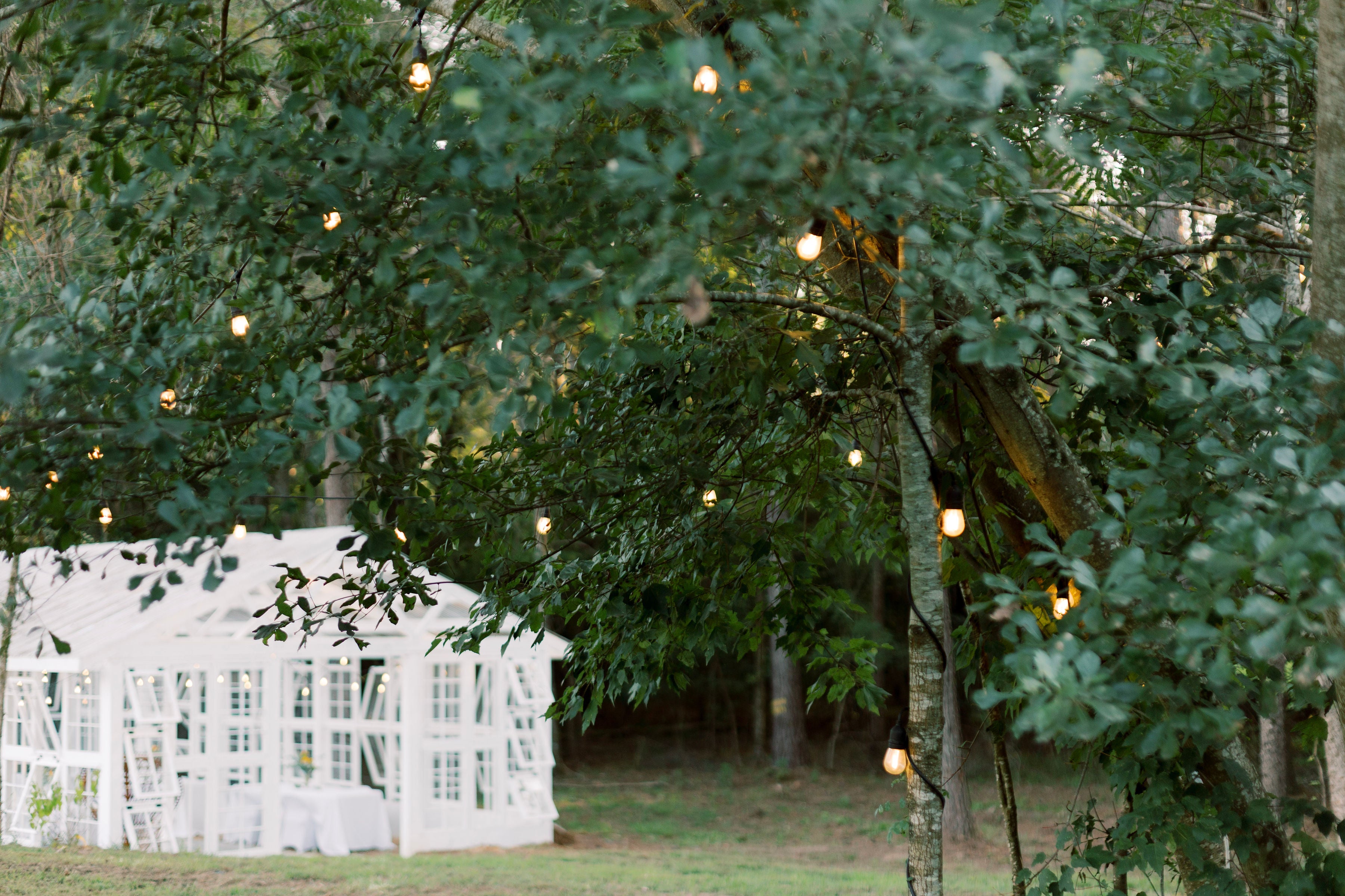 Spring Watercolor in the Gardens - Mother's Day Special