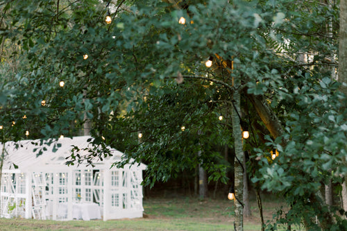 Spring Watercolor in the Gardens - Mother's Day Special