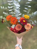 Fall 2026 Dahlia Subscription + Four Week Season Extender Add on (Sept 11-Oct 30)