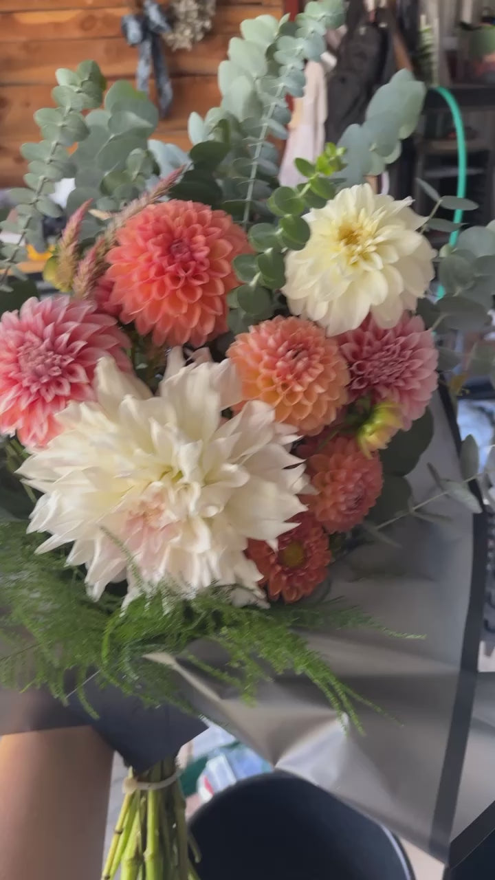 Fall 2026 Dahlia Subscription